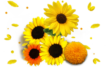 Login To Know Your Loyalty Tier