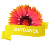 Loyalty Tier - Sunddance
