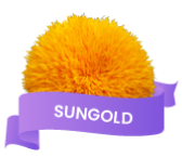 Loyalty Tier - Sungold